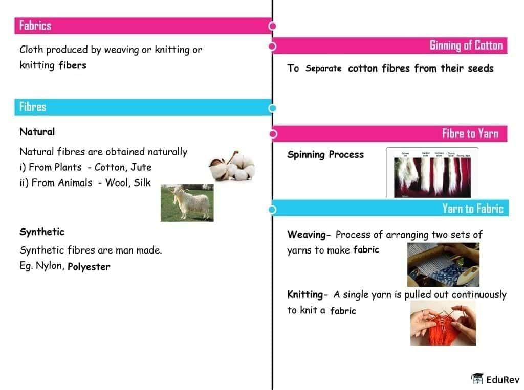 Mind Map: Fibre to Fabric | Class 7 Oxford Science: Chapter Notes, Worksheets & Tests
