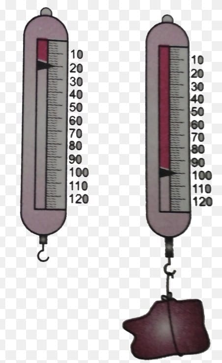 6.1.1 Measuring the Magnitude of a Force