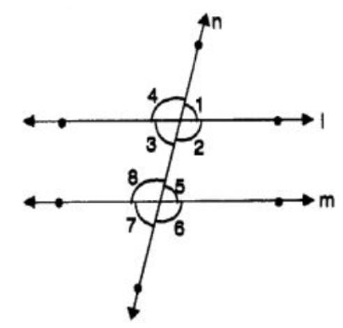 Lines and Angles Class 7 Notes Maths Chapter 6