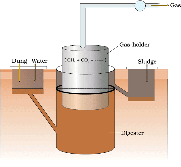 4. Biogas Production - Methanogen Mnemonic
