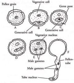 Long Answer Type Questions (5 Marks)