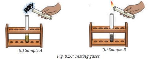 NCERT Based Activity: Nature of Matter: Elements, Compounds, and Mixtures | Science Curiosity Class 8 -  New NCERT