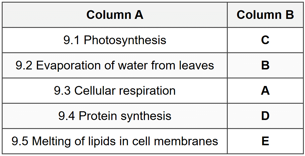 SECTION A3 - Question 9