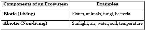 Ecosystems & Habitats | General Knowledge for Young Learners - Class 1