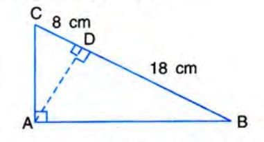 Similarity Chapter Notes | Mathematics Class 10 ICSE