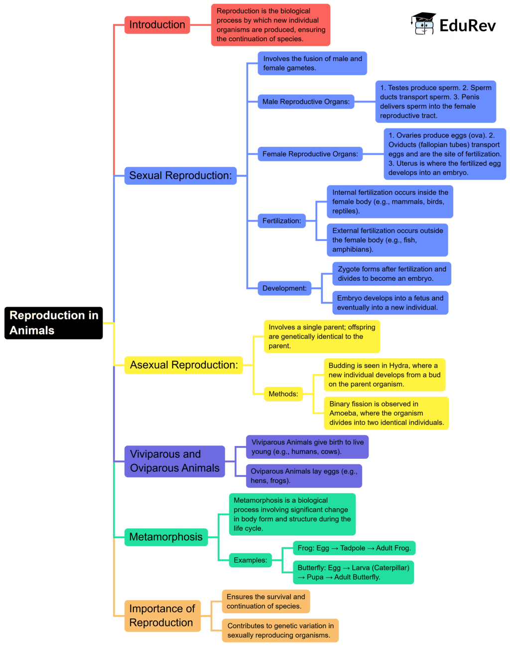 Mindmap: Reproduction in Animals | Science Class 8