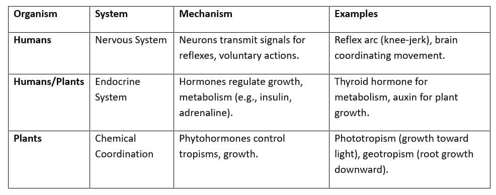 Cheat Sheet: Life Processes | Science Class 10