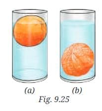 The Amazing World of Solutes, Solvents, and Solutions NCERT Solutions | Science Curiosity Class 8 -  New NCERT