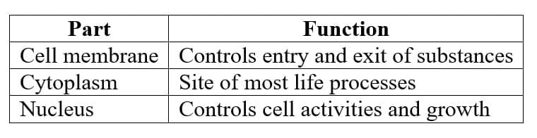 Basic Parts of a Cell