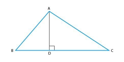 Assignment: Triangles | Mathematics (Maths) Class 10
