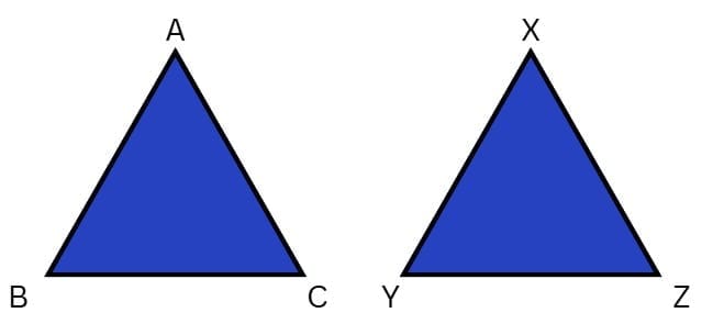 Section B (12 × 2 = 24 Marks)