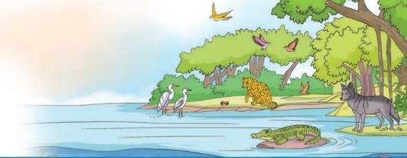 Worksheet: Journey of a River | Worksheets with Solutions for Class 5