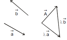 Resolution of Vectors: Motion in a Plane | Physics Class 11 - NEET