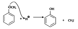 NEET Previous Year Questions (2014-2025): Alcohols, Phenols & Ethers | Chemistry Class 12