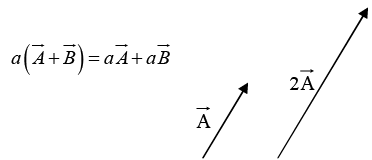 Vector Algebra | Basic Physics for IIT JAM