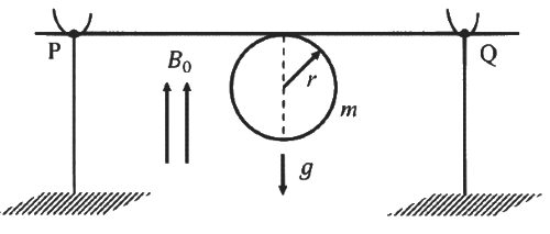 JEE Advanced Previous Year Questions (2018 - 2024): Magnetism | Physics for JEE Main & Advanced