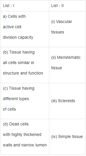 NEET Previous Year Questions(2016-25): Anatomy of Flowering Plants | Biology Class 11
