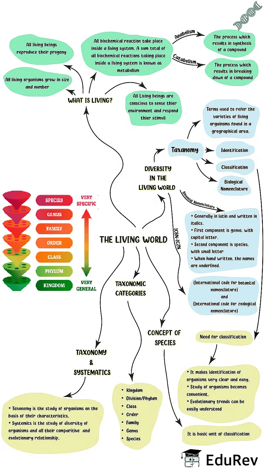 Mind Map: The Living World | Biology Class 11 - NEET