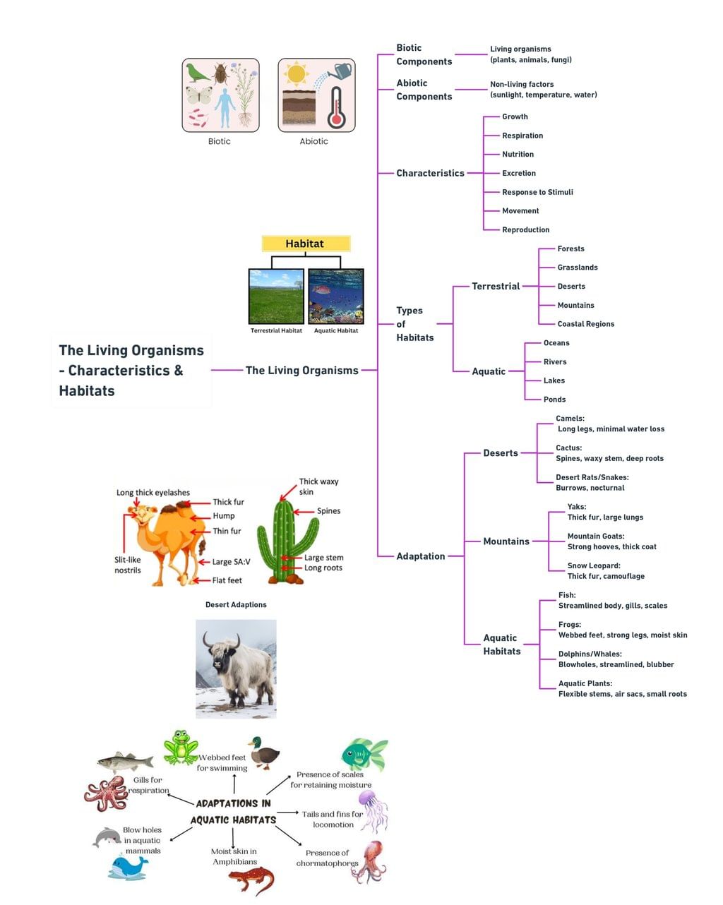 Mindmap: The Living Organisms - Characteristics & Habitats | Subject-Wise Mind Maps for Class 6