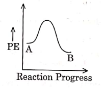 NEET Previous Year Questions (2014-2025): Chemical Kinetics | Chemistry Class 12