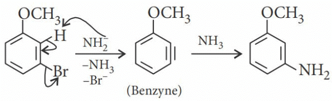 NEET Previous Year Questions (2014-2024): Haloalkanes & Haloarenes | Chemistry Class 12