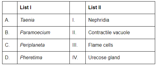 NEET Previous Year Questions(2016-24): Animal Kingdom | Biology Class 11