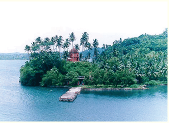 The Emerald Islands NCERT Solutions | Communicative English for Class 10