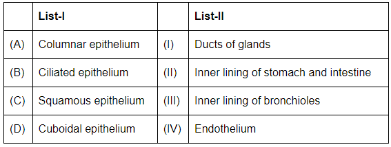 NEET Previous Year Questions (2016-2024): Structural Organisation in Animals | Biology Class 11