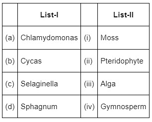 NEET Previous Year Questions (2016-2025): Plant Kingdom | Biology Class 11