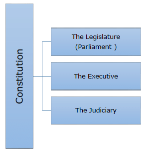 NCERT Summary: Why do we need a Constitution- 1 | Indian Polity for UPSC CSE