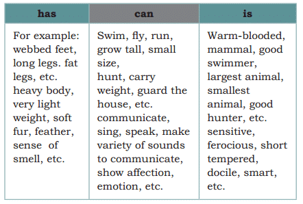 Mijbil the Otter NCERT Solutions - Class 10