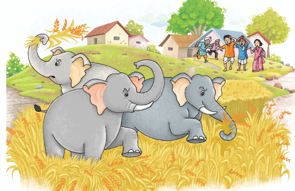 Mijbil the Otter NCERT Solutions - Class 10