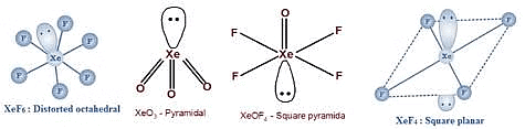 NEET Previous Year Questions (2014-2024): The p-Block Elements (Group 15, 16, 17 & 18) | Chemistry Class 12