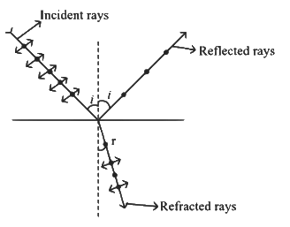 NEET Previous Year Questions (2014-2024): Wave Optics | Physics Class 12