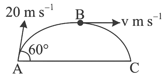NEET Previous Year Questions (2014-2025): Motion in a Plane | Physics Class 11