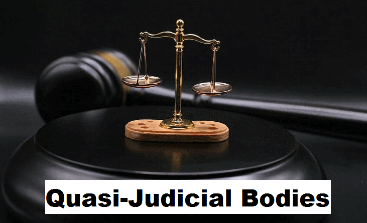 Human Rights Violations - Complaint Mechanism (Quasi-Judicial Bodies) Chapter Notes | Legal Studies for Class 12 - Humanities/Arts