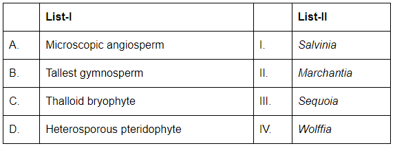 NEET Previous Year Questions (2016-2025): Plant Kingdom | Biology Class 11