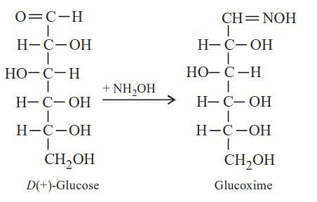 NEET Previous Year Questions (2014-2025): Biomolecules | Chemistry Class 12