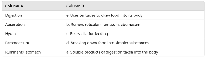 Nutrition in Animals Class 6 Worksheet Science Chapter 2