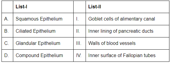 NEET Previous Year Questions (2016-2024): Structural Organisation in Animals | Biology Class 11