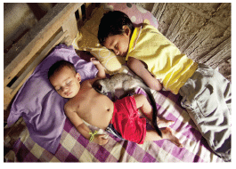 Mijbil the Otter NCERT Solutions - Class 10
