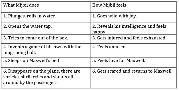 Mijbil the Otter NCERT Solutions - Class 10