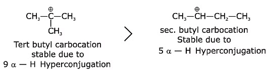 NEET Previous Year Questions (2014-2024): Organic Chemistry - Some Basic Principles & Techniques | Chemistry Class 11