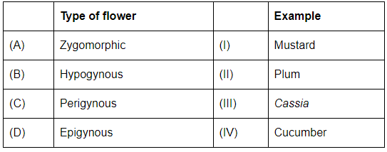 NEET Previous Year Questions(2016-25): Morphology of Flowering Plants | Biology Class 11