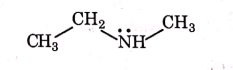 NEET Previous Year Questions (2014-2024): Amines | Chemistry Class 12