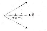NEET Previous Year Questions (2014-2024): Electric Charges & Fields | Physics Class 12