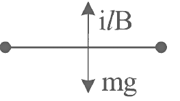 NEET Previous Year Questions (2014-2024): Moving Charges & Magnetism | Physics Class 12
