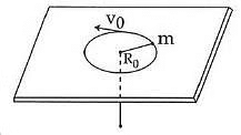 NEET Previous Year Questions (2014-2025): Work, Energy & Power | Physics Class 11