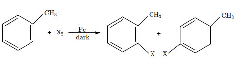 NEET Previous Year Questions (2014-2024): Haloalkanes & Haloarenes | Chemistry Class 12