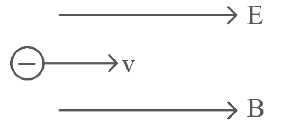 NEET Previous Year Questions (2014-2024): Moving Charges & Magnetism | Physics Class 12